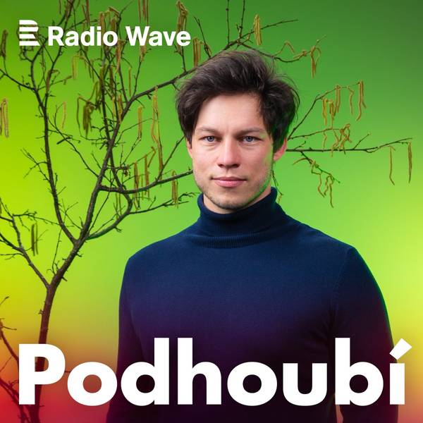 Podhoubí